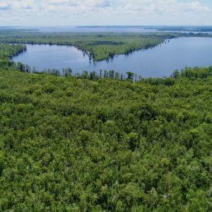 Photo #19 of Off Knobbs Creek Rd, Elizabeth City, NC 611.0 acres