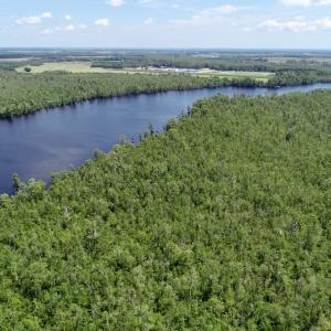 Photo #21 of Off Knobbs Creek Rd, Elizabeth City, NC 611.0 acres
