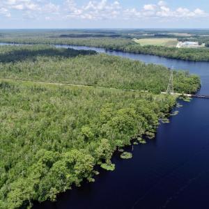 Photo #23 of Off Knobbs Creek Rd, Elizabeth City, NC 611.0 acres