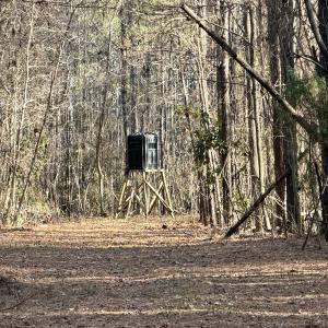 Photo #24 of Off Knobbs Creek Rd, Elizabeth City, NC 611.0 acres