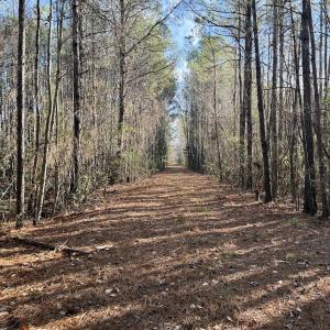 Photo #28 of Off Knobbs Creek Rd, Elizabeth City, NC 611.0 acres