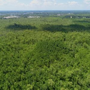Photo #29 of Off Knobbs Creek Rd, Elizabeth City, NC 611.0 acres
