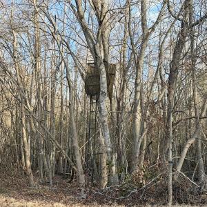 Photo #30 of Off Knobbs Creek Rd, Elizabeth City, NC 611.0 acres