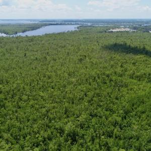 Photo #32 of Off Knobbs Creek Rd, Elizabeth City, NC 611.0 acres