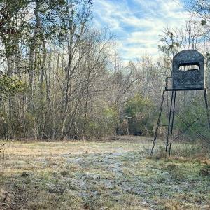 Photo #33 of Off Knobbs Creek Rd, Elizabeth City, NC 611.0 acres