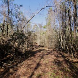 Photo #37 of Off Knobbs Creek Rd, Elizabeth City, NC 611.0 acres