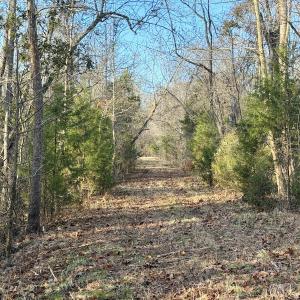 Photo #39 of Off Knobbs Creek Rd, Elizabeth City, NC 611.0 acres