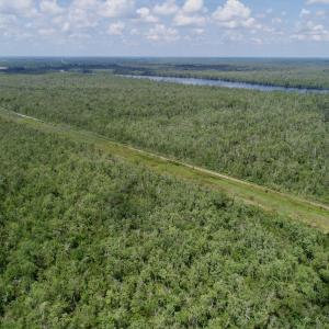 Photo #40 of Off Knobbs Creek Rd, Elizabeth City, NC 611.0 acres