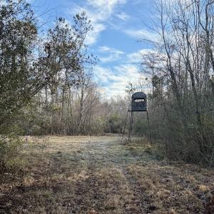 Photo #44 of Off Knobbs Creek Rd, Elizabeth City, NC 611.0 acres