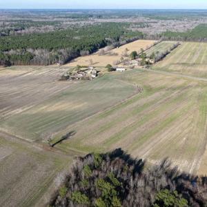 Photo #14 of Off of Joe Gardner Road, Grifton, NC 6.5 acres