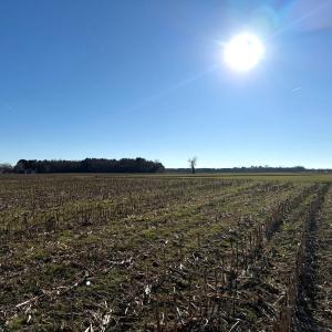 Photo #34 of Off of Joe Gardner Road, Grifton, NC 6.5 acres