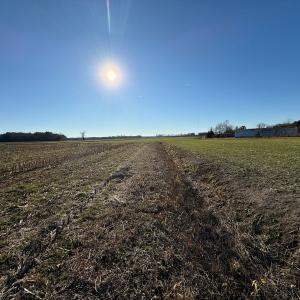 Photo #35 of Off of Joe Gardner Road, Grifton, NC 6.5 acres