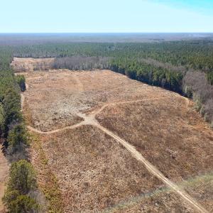 Photo #1 of Off Taylors Mill Road, Emporia, VA 107.0 acres