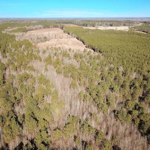 Photo #2 of Off Taylors Mill Road, Emporia, VA 107.0 acres