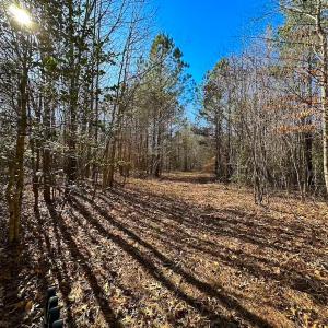 Photo #5 of Off Taylors Mill Road, Emporia, VA 107.0 acres