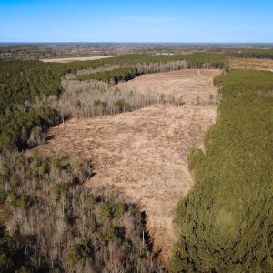 Photo #7 of Off Taylors Mill Road, Emporia, VA 107.0 acres