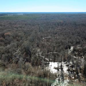 Photo #8 of Off Taylors Mill Road, Emporia, VA 107.0 acres