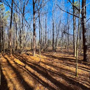 Photo #12 of Off Taylors Mill Road, Emporia, VA 107.0 acres