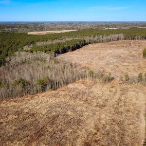 Photo #14 of Off Taylors Mill Road, Emporia, VA 107.0 acres