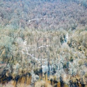 Photo #16 of Off Taylors Mill Road, Emporia, VA 107.0 acres