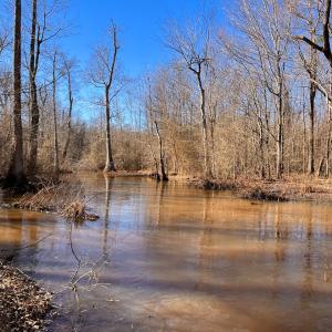 Photo #18 of Off Taylors Mill Road, Emporia, VA 107.0 acres