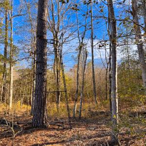 Photo #19 of Off Taylors Mill Road, Emporia, VA 107.0 acres