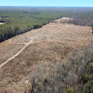 Photo #21 of Off Taylors Mill Road, Emporia, VA 107.0 acres