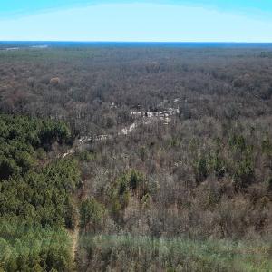 Photo #22 of Off Taylors Mill Road, Emporia, VA 107.0 acres