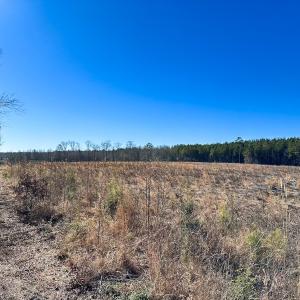 Photo #23 of Off Taylors Mill Road, Emporia, VA 107.0 acres