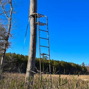 Photo #27 of Off Taylors Mill Road, Emporia, VA 107.0 acres