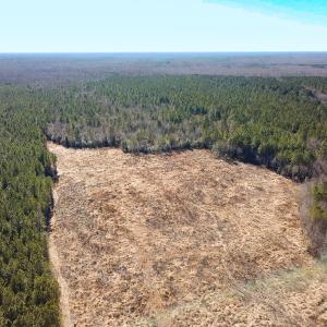 Photo #28 of Off Taylors Mill Road, Emporia, VA 107.0 acres