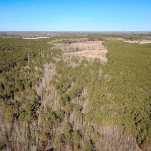 Photo #29 of Off Taylors Mill Road, Emporia, VA 107.0 acres