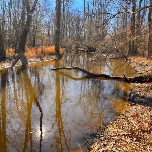 Photo #32 of Off Taylors Mill Road, Emporia, VA 107.0 acres