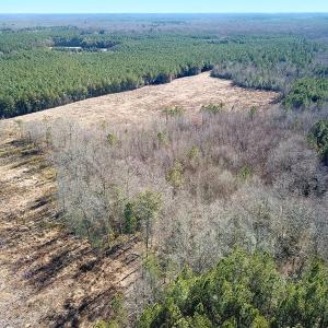 Photo #34 of Off Taylors Mill Road, Emporia, VA 107.0 acres
