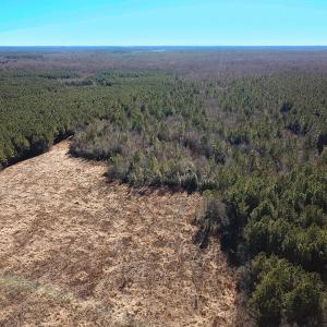 Photo #35 of Off Taylors Mill Road, Emporia, VA 107.0 acres