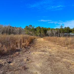 Photo #36 of Off Taylors Mill Road, Emporia, VA 107.0 acres