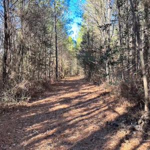 Photo #37 of Off Taylors Mill Road, Emporia, VA 107.0 acres