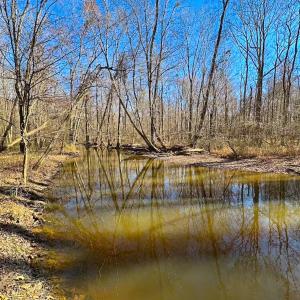 Photo #38 of Off Taylors Mill Road, Emporia, VA 107.0 acres