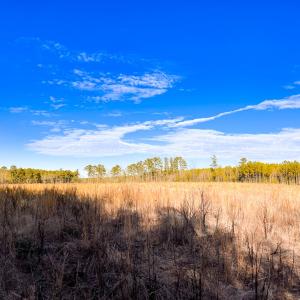 Photo #42 of Off Taylors Mill Road, Emporia, VA 107.0 acres