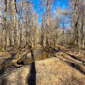 Photo #45 of Off Taylors Mill Road, Emporia, VA 107.0 acres