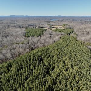 Photo #10 of Off of Dillards Hill Road, Union Hall, VA 37.7 acres