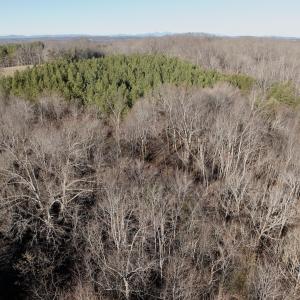 Photo #12 of Off of Dillards Hill Road, Union Hall, VA 37.7 acres