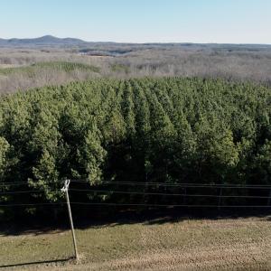 Photo #13 of Off of Dillards Hill Road, Union Hall, VA 37.7 acres