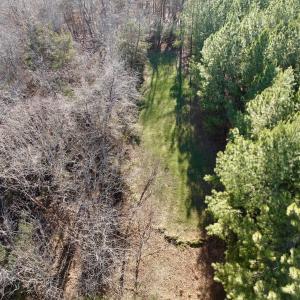 Photo #14 of Off of Dillards Hill Road, Union Hall, VA 37.7 acres