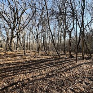 Photo #16 of Off of Dillards Hill Road, Union Hall, VA 37.7 acres