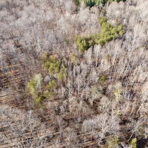 Photo #17 of Off of Dillards Hill Road, Union Hall, VA 37.7 acres