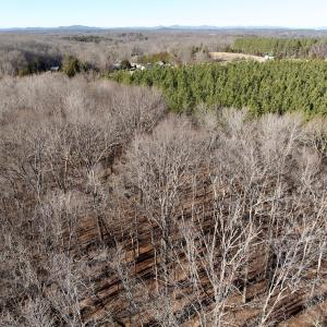 Photo #18 of Off of Dillards Hill Road, Union Hall, VA 37.7 acres