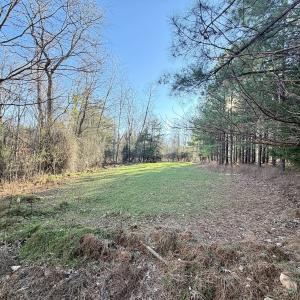 Photo #19 of Off of Dillards Hill Road, Union Hall, VA 37.7 acres