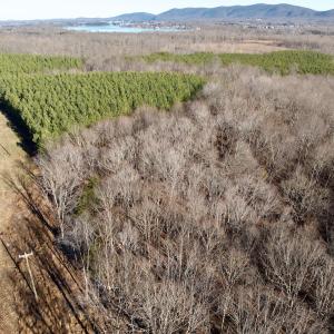 Photo #2 of Off of Dillards Hill Road, Union Hall, VA 37.7 acres