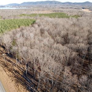 Photo #20 of Off of Dillards Hill Road, Union Hall, VA 37.7 acres